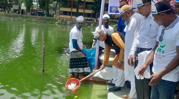 উন্নয়নের পাশাপাশি দেশকে এগিয়ে নিতে নৌকায় ভোট দিতে হবে: রেলমন্ত্রী